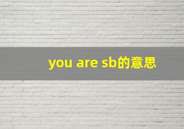 you are sb的意思